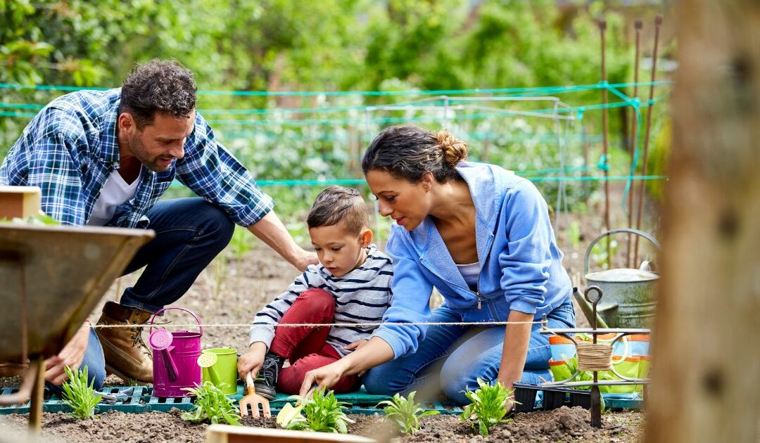 Growing Smiles: Tips for Setting Up Indoor and Outdoor Gardens for a Healthier Lifestyle